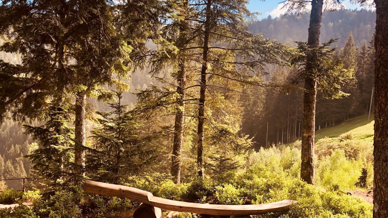 Photo of Outdoor in Hagen