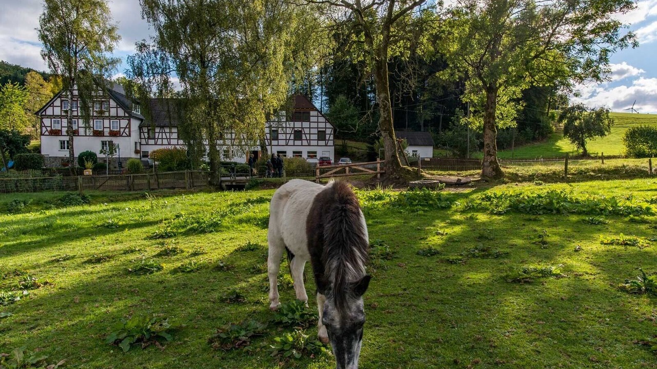 Photo of Outdoor in Niederlandenbeck