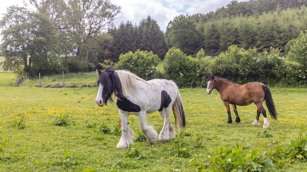 Photo of Others in Niederlandenbeck