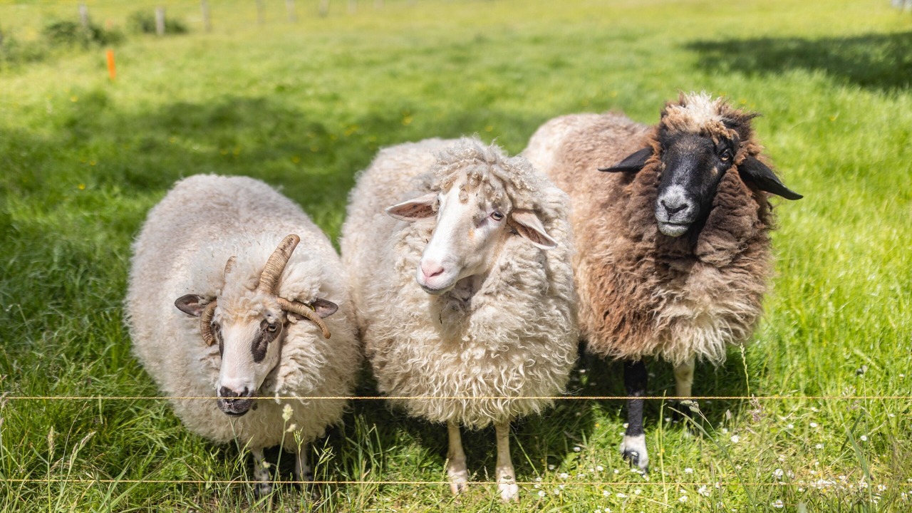 Photo of Others in Niederlandenbeck