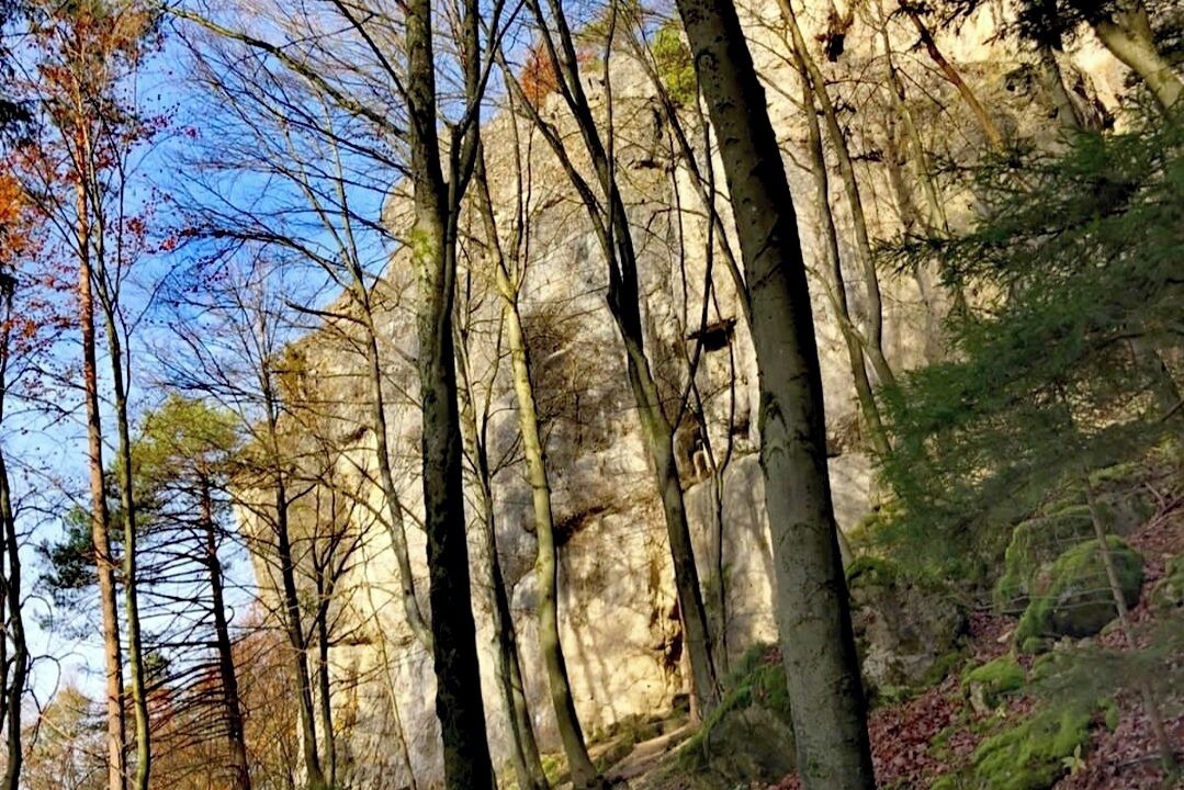 Photo of Others in Hirschbach
