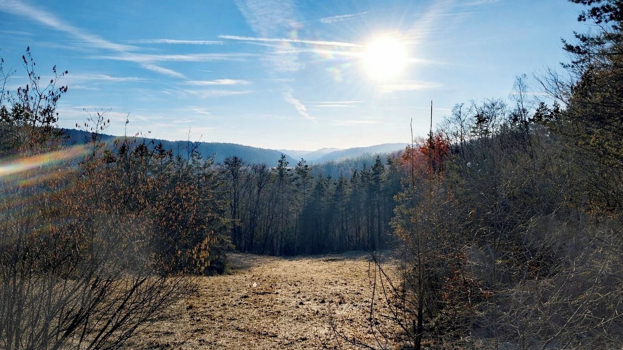 Photo of Others in Hirschbach