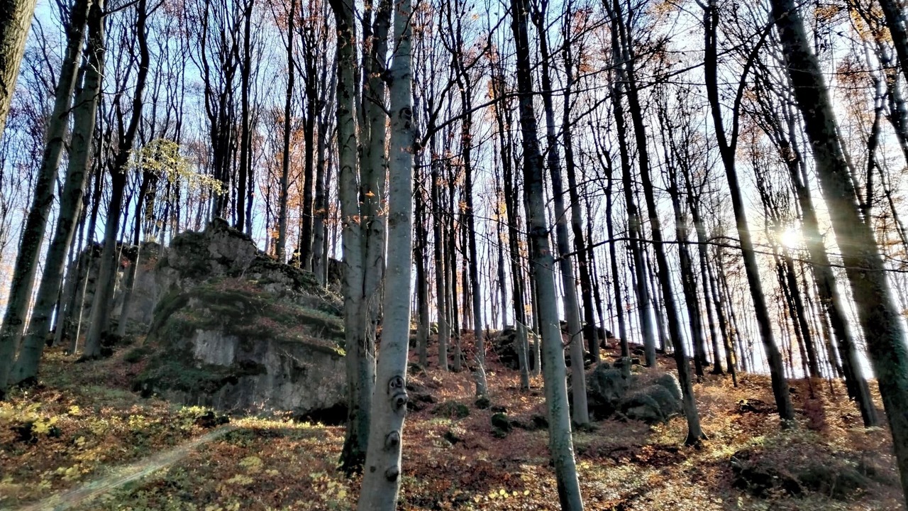Photo of Others in Hirschbach