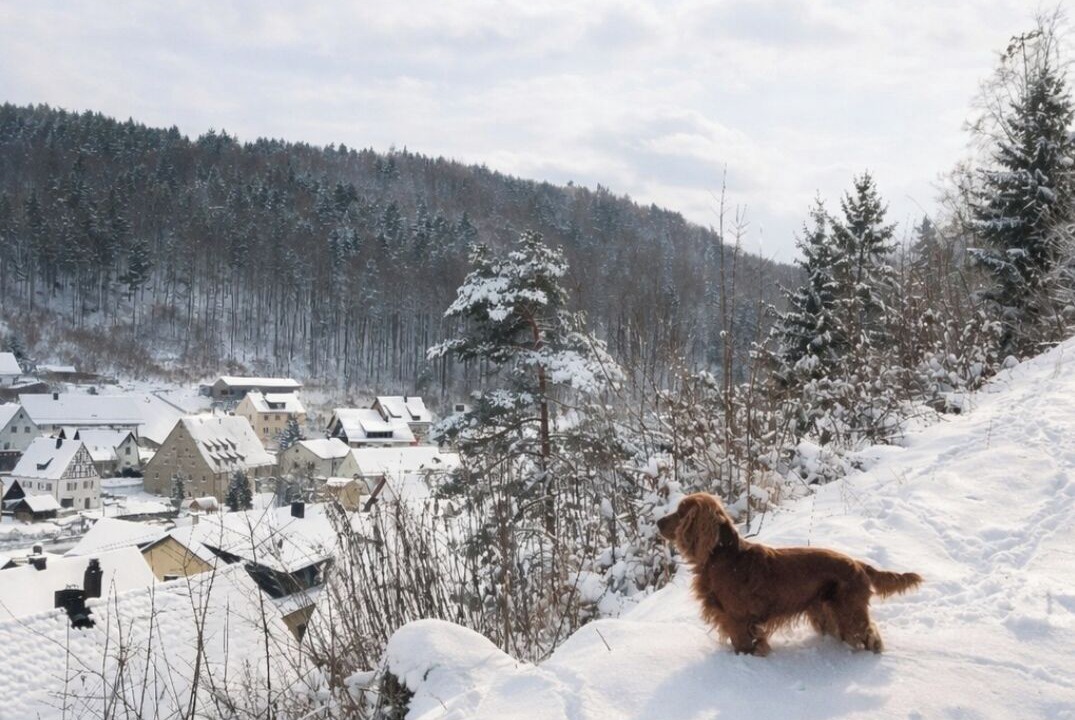 Photo of Others in Hirschbach