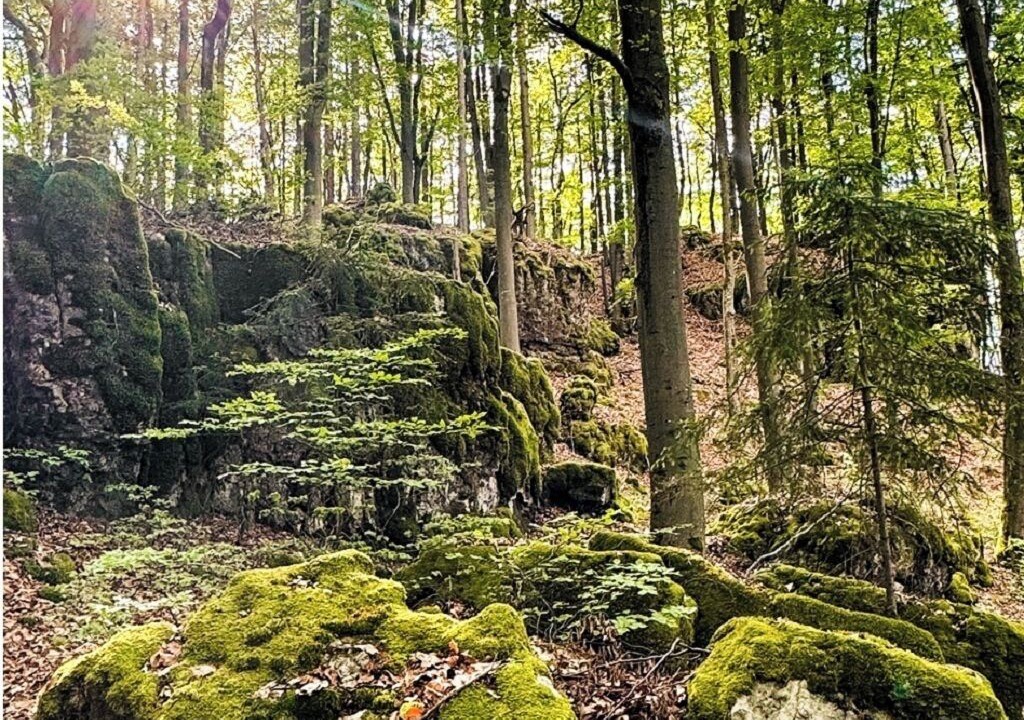 Photo of Others in Hirschbach