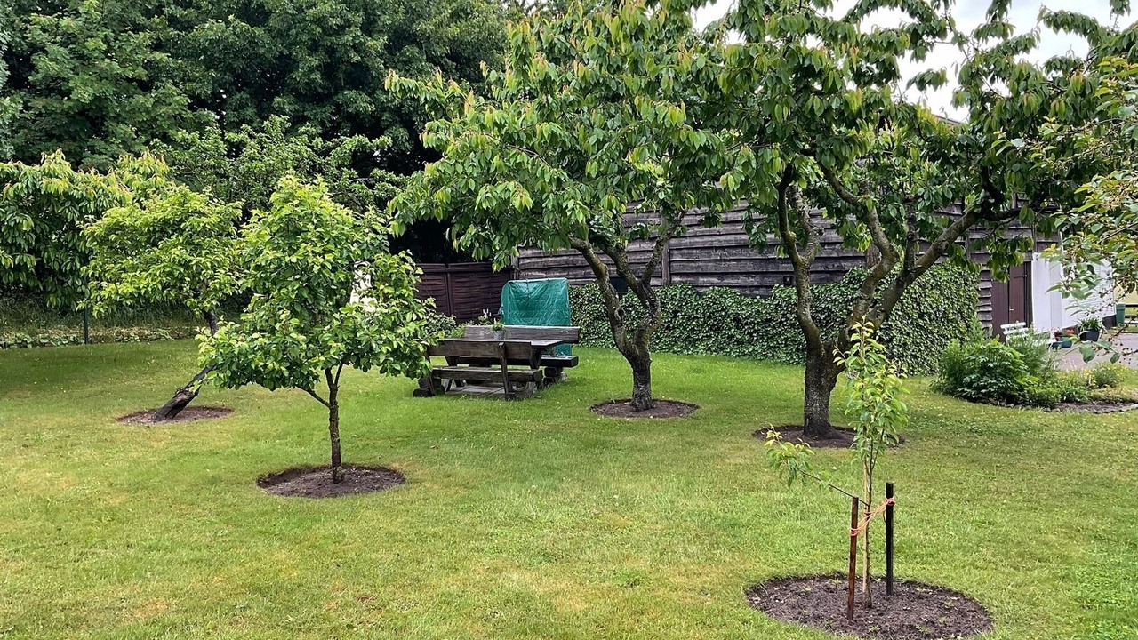 Photo of Outdoor in Hornstorf