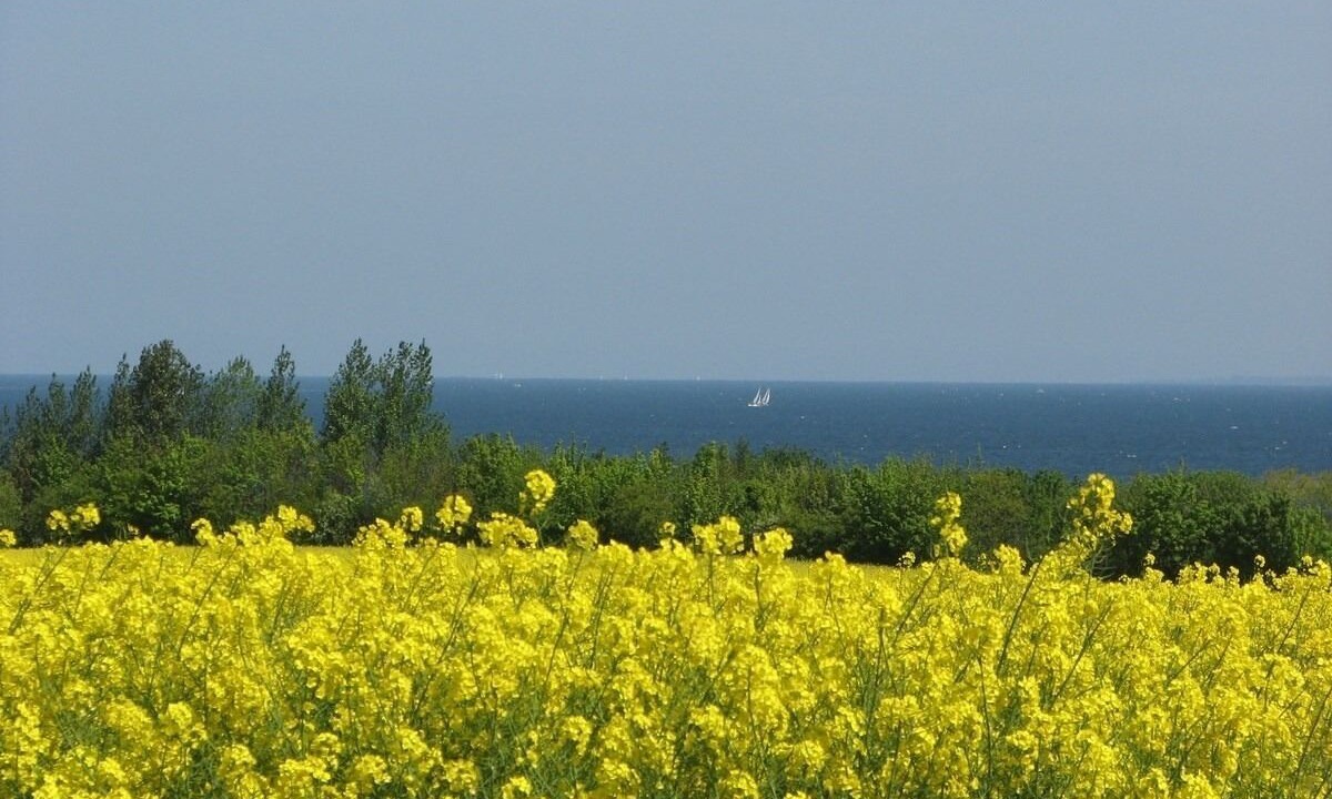 Photo of Others in Hohen Wieschendorf