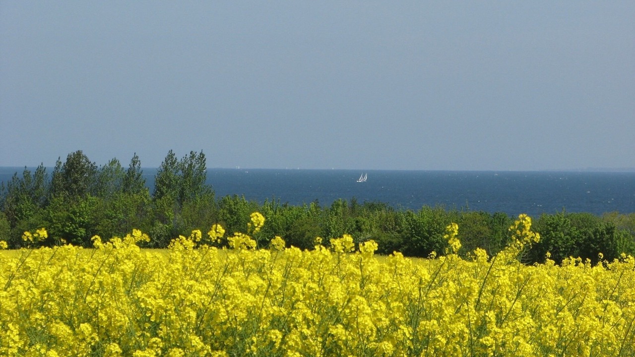 Photo of Others in Hohen Wieschendorf