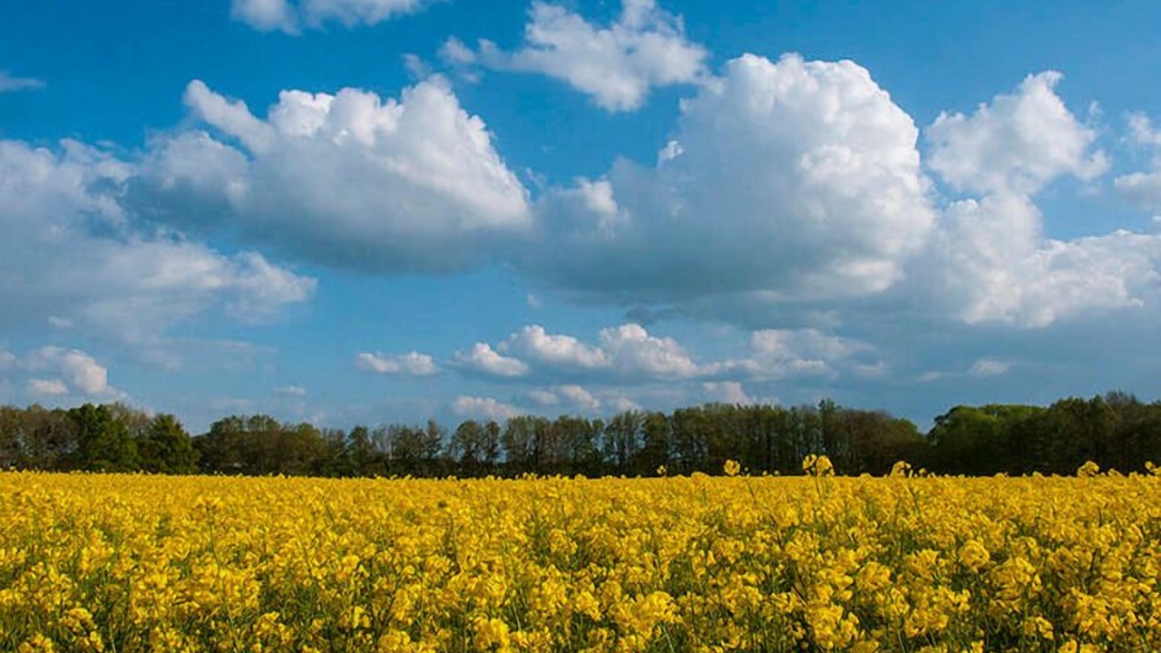 Photo of Others in Kluetz
