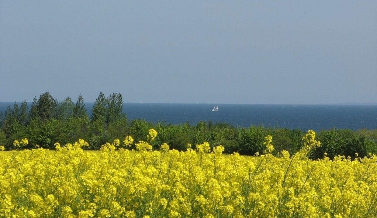 Photo of Others in Bad Kleinen