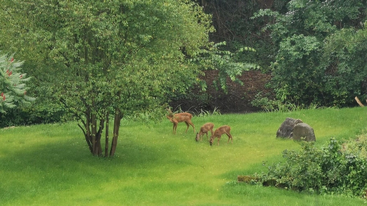 Photo of Outdoor in Lubow