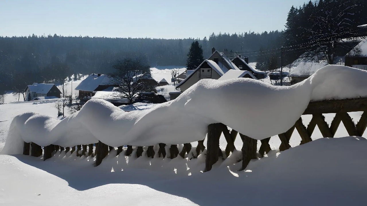 Photo of Others in Friedenweiler
