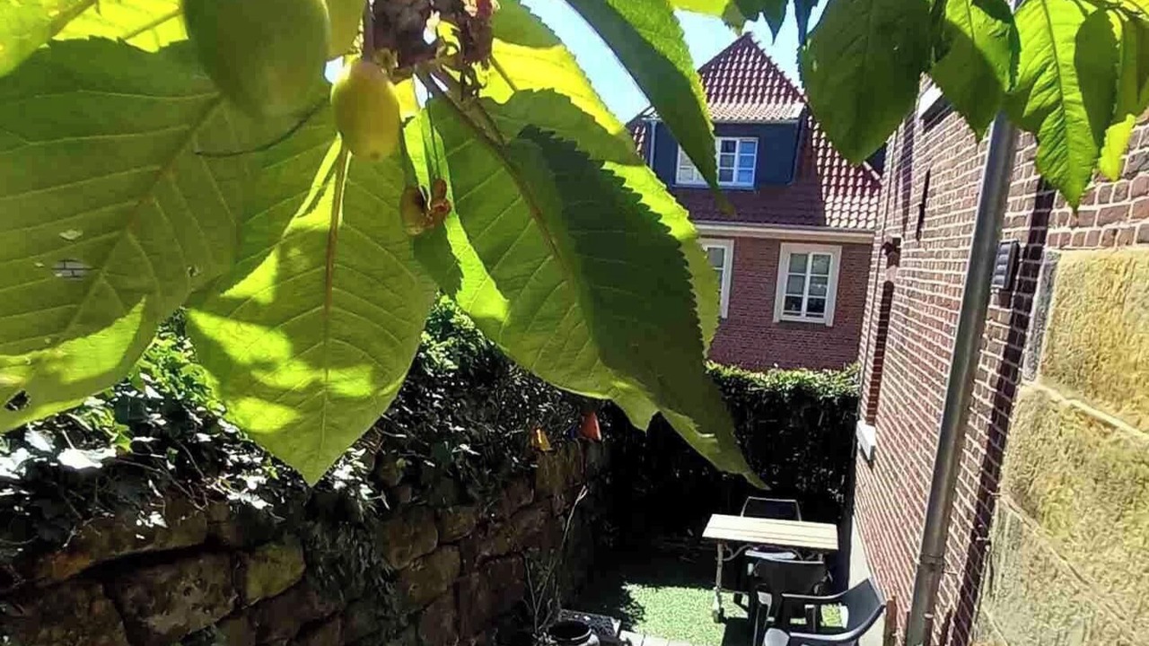 Photo of Outdoor in Bad Bentheim