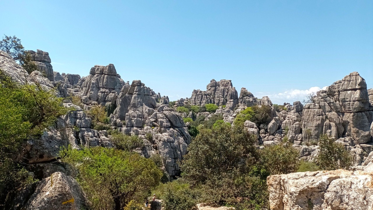 Photo of Others in Almogia