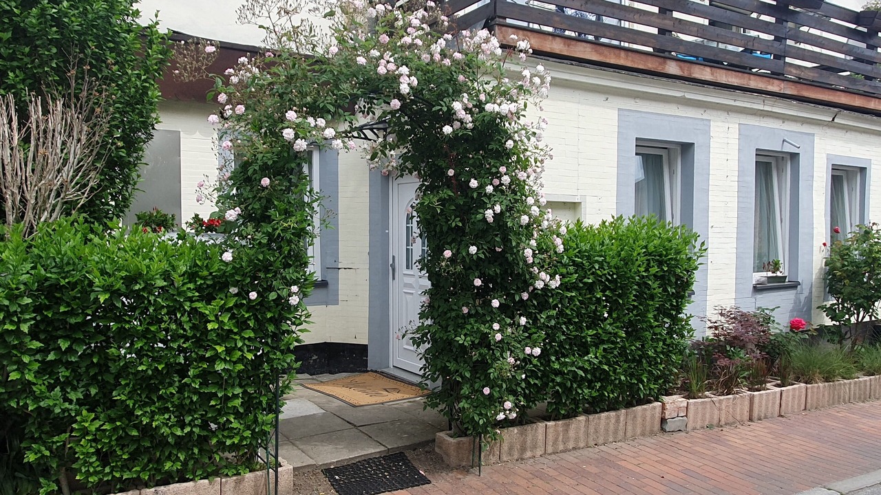 Photo of Outdoor in Lubeck City Centre