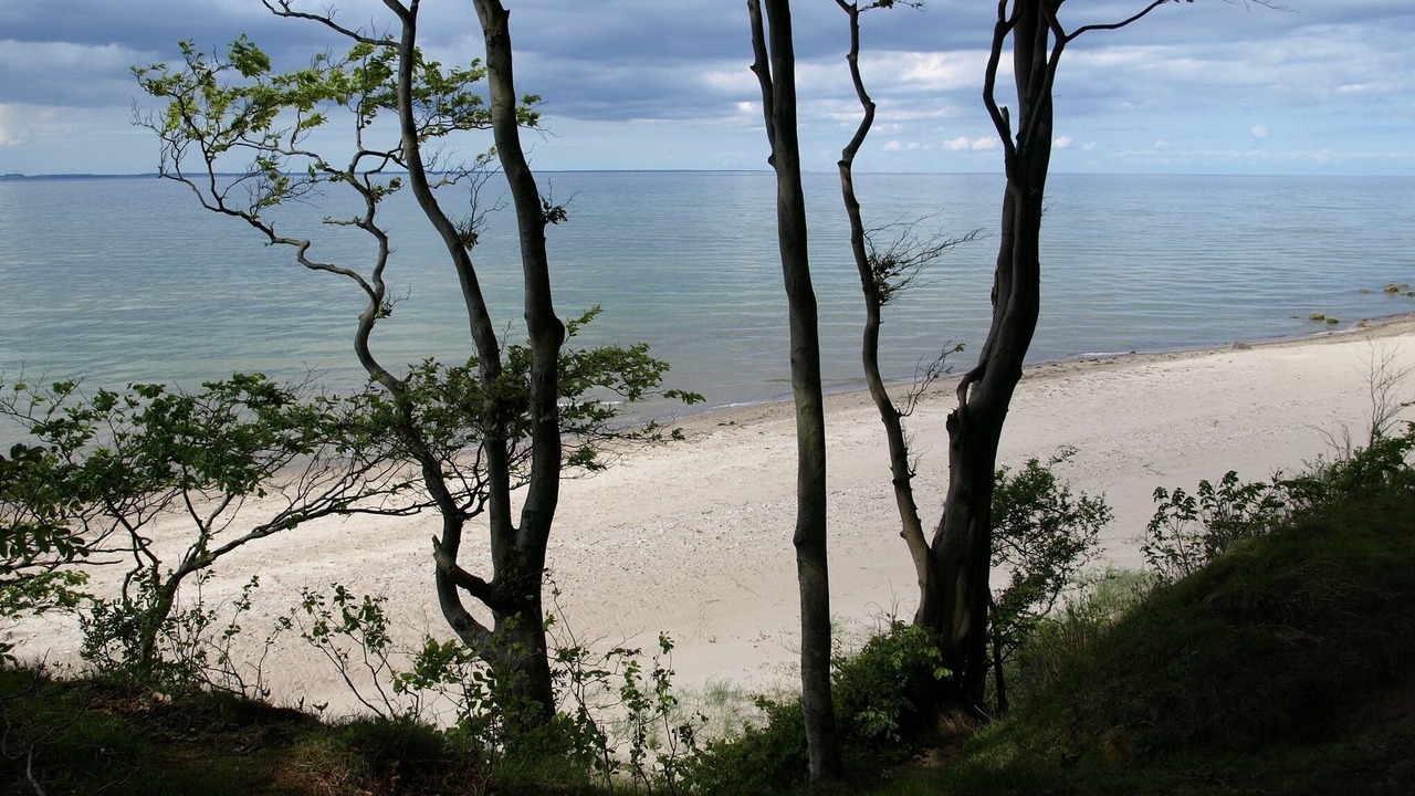 Photo of Others in Gross Schwansee