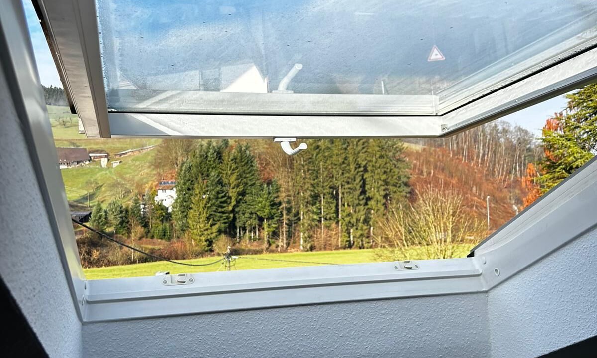 Photo of Others in Schuttertal