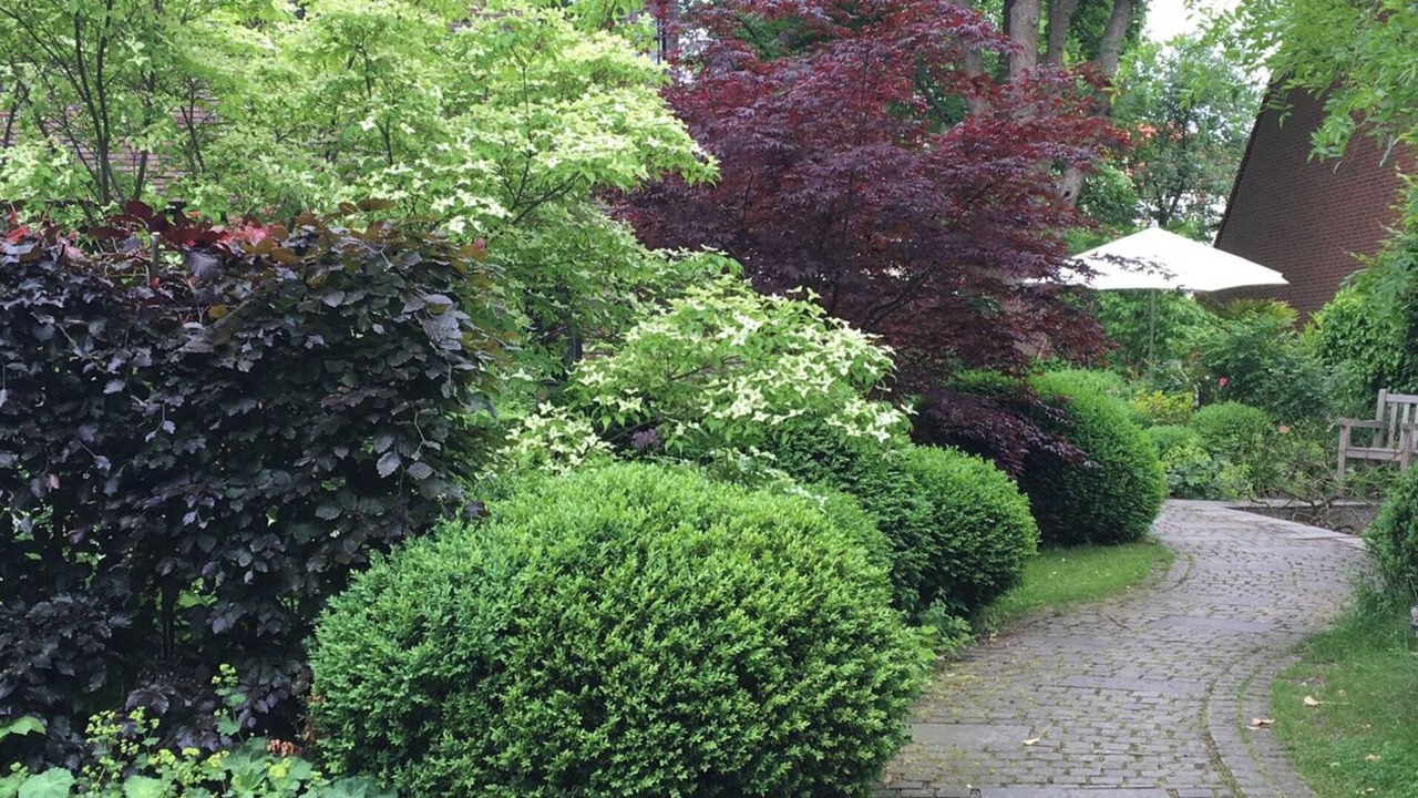 Photo of Outdoor in Nienstedten