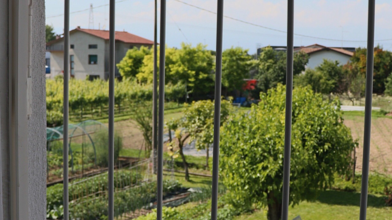 Photo of Outdoor in Fiume Veneto
