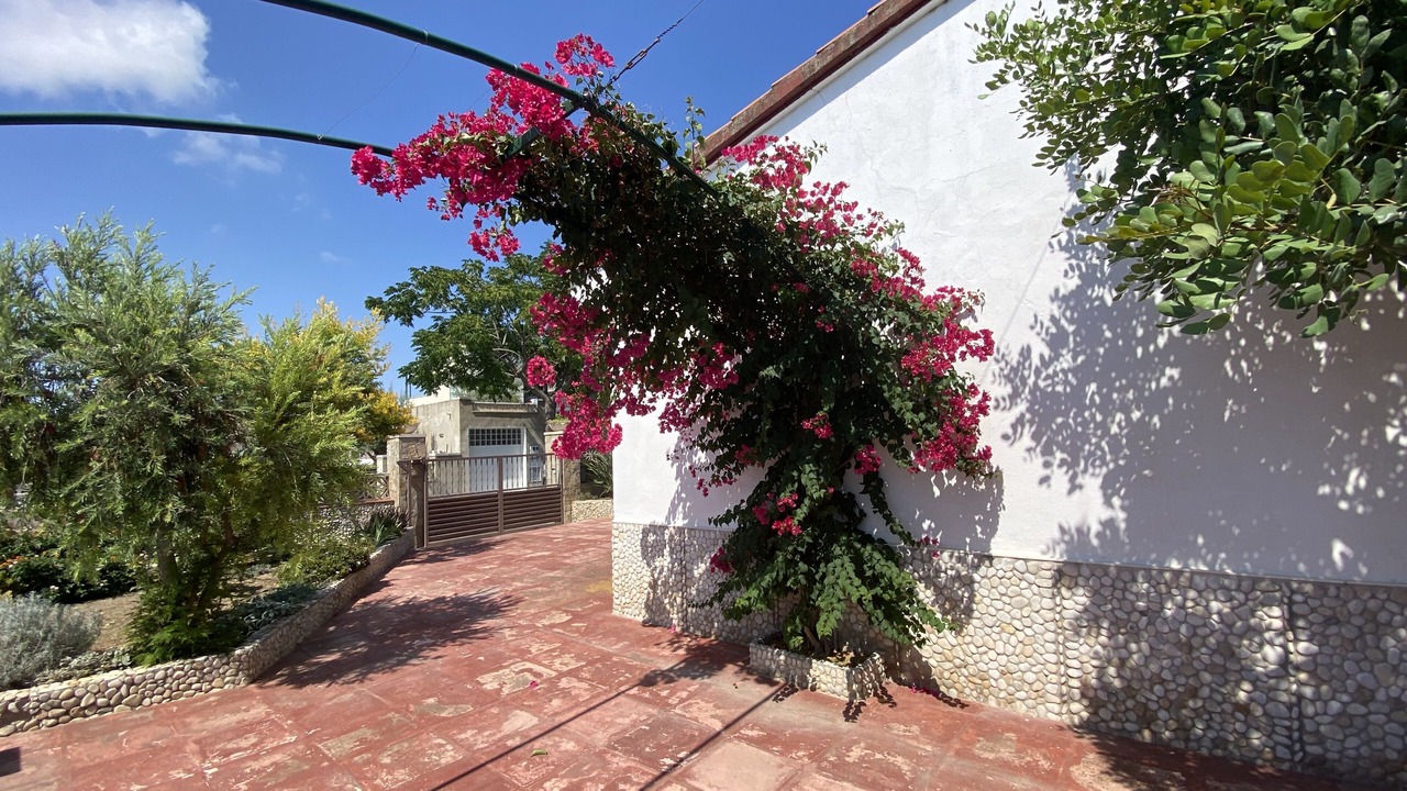 Photo of Outdoor in Vilanova I la Geltru