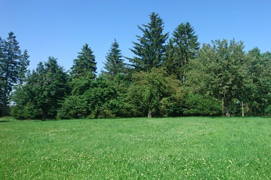 Photo of Others in Buchenberg