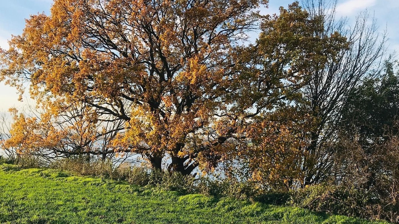 Photo of Others in Mariendorf