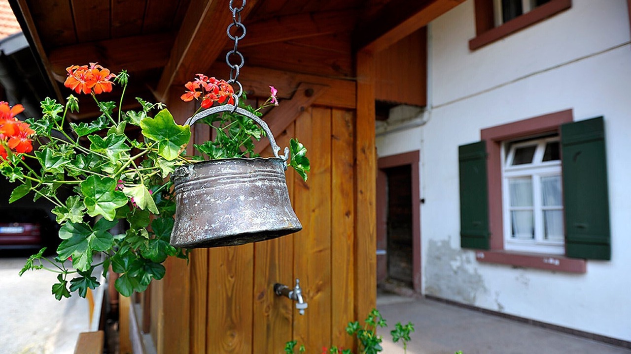 Photo of Outdoor in Zell am Harmersbach