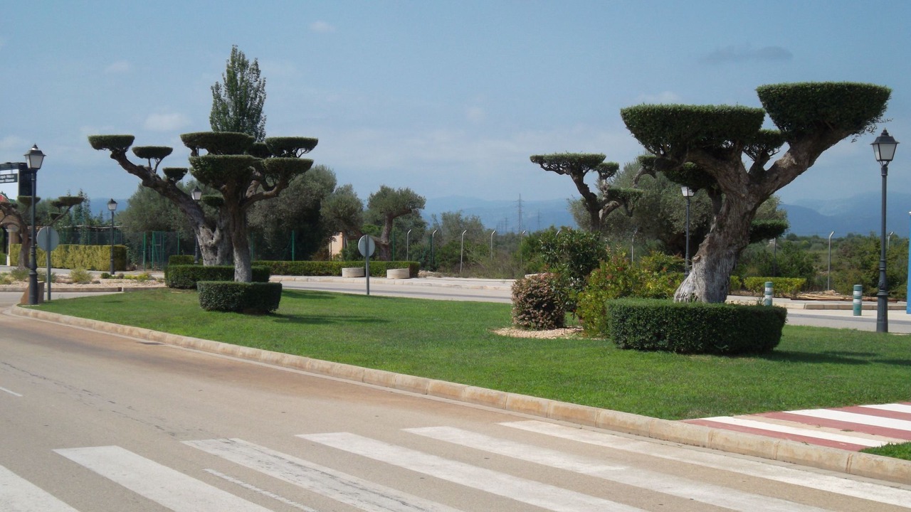 Photo of Others in San Jorge