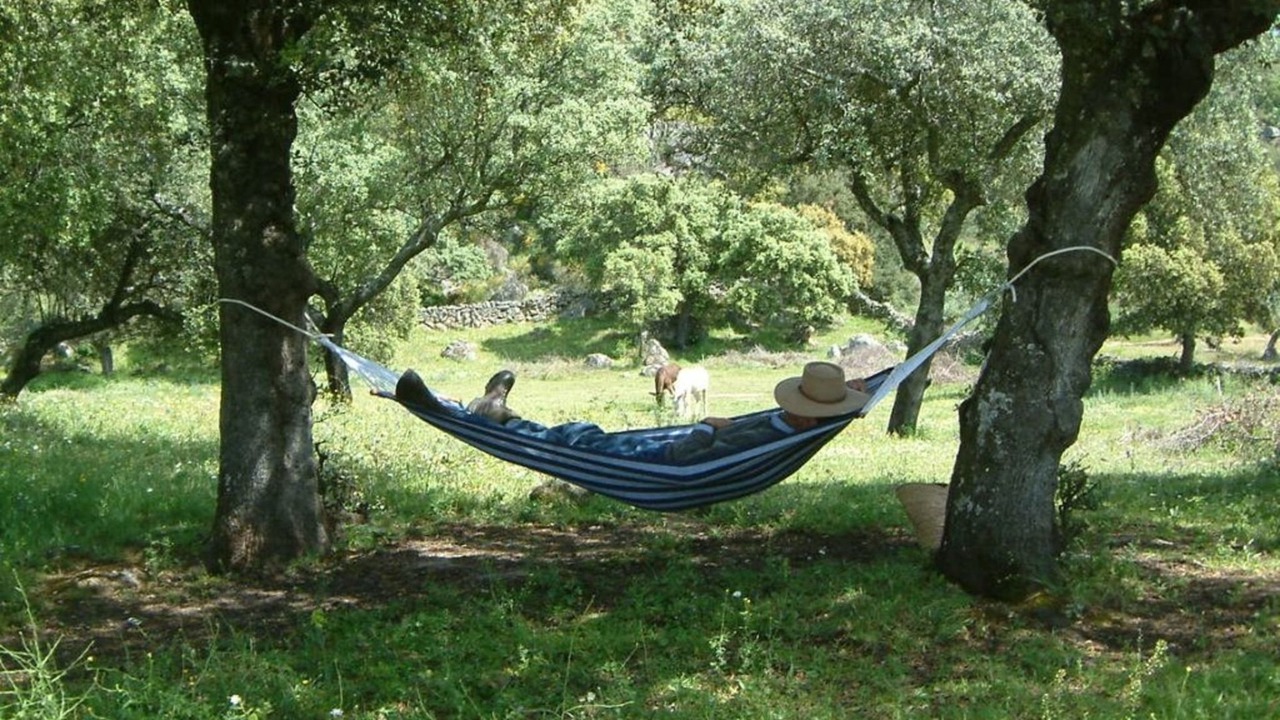 Photo of Others in Montanchez