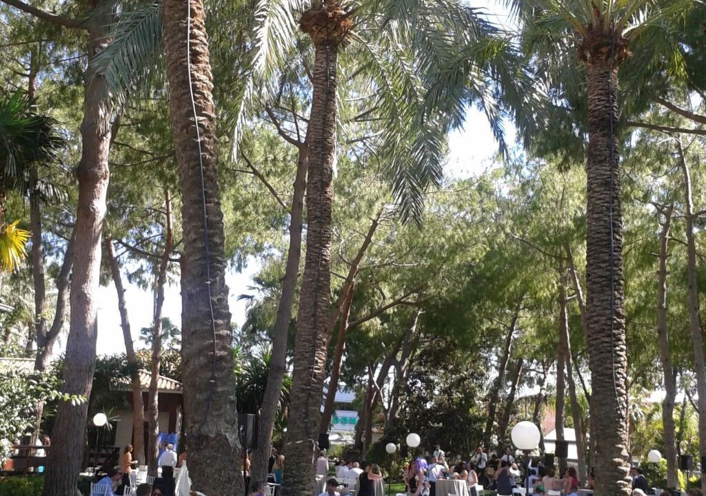 Photo of Outdoor in L'Eliana