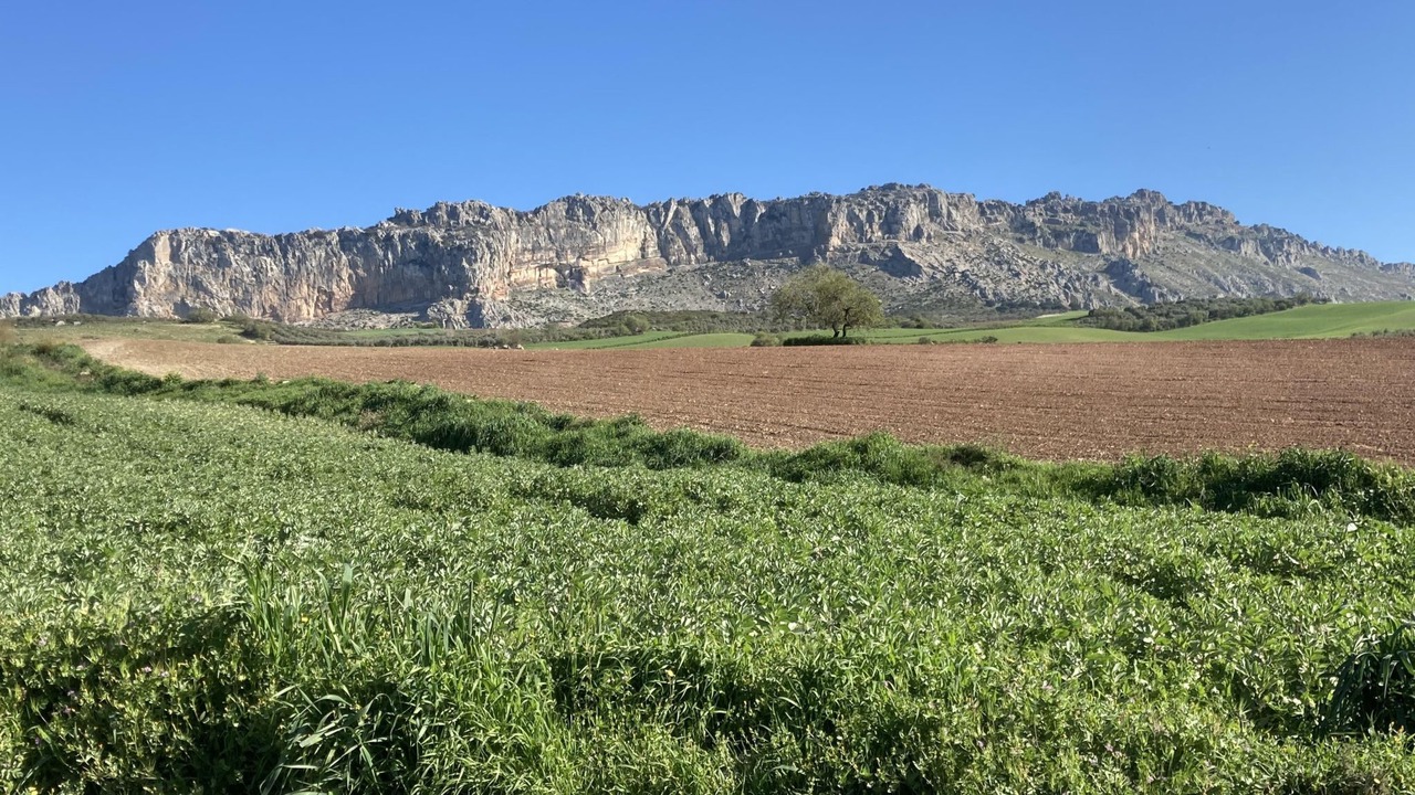 Photo of Others in Antequera