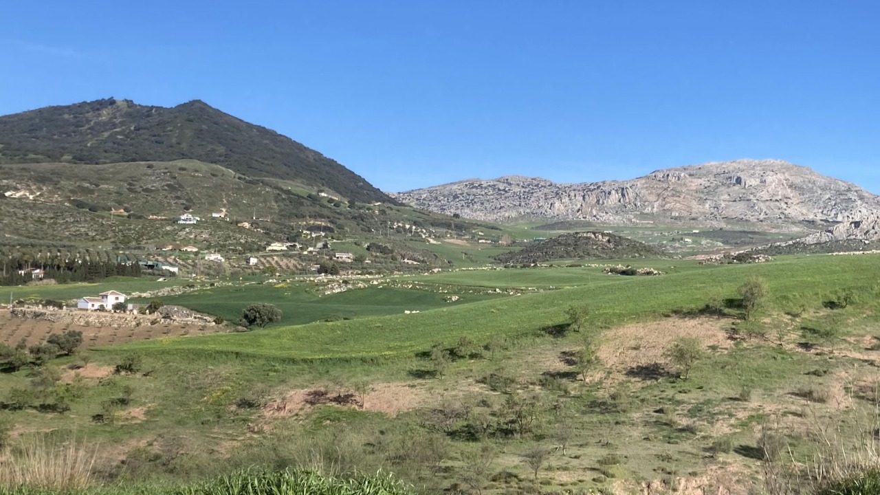 Photo of Others in Antequera