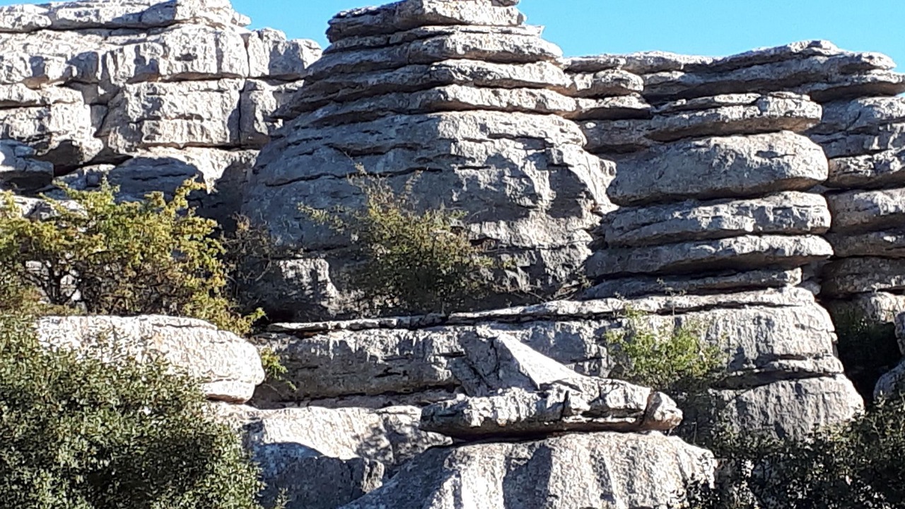 Photo of Others in Antequera