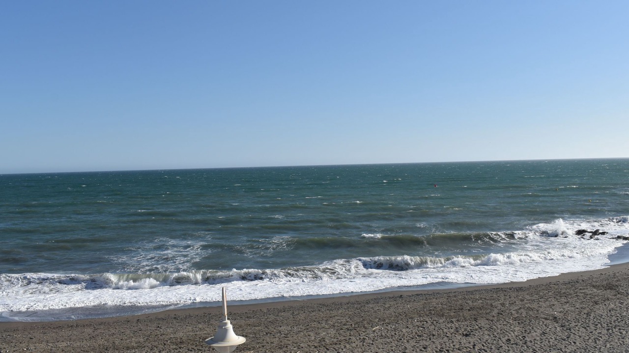 Photo of Others in Algarrobo