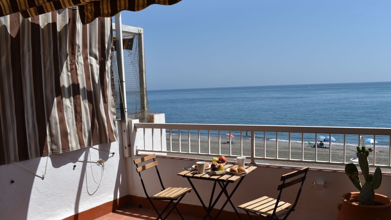Photo of Others in Algarrobo