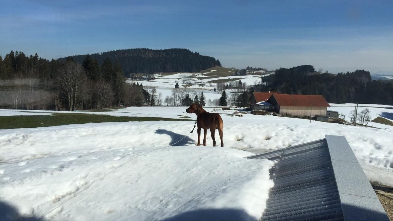 Photo of Others in Buchenberg