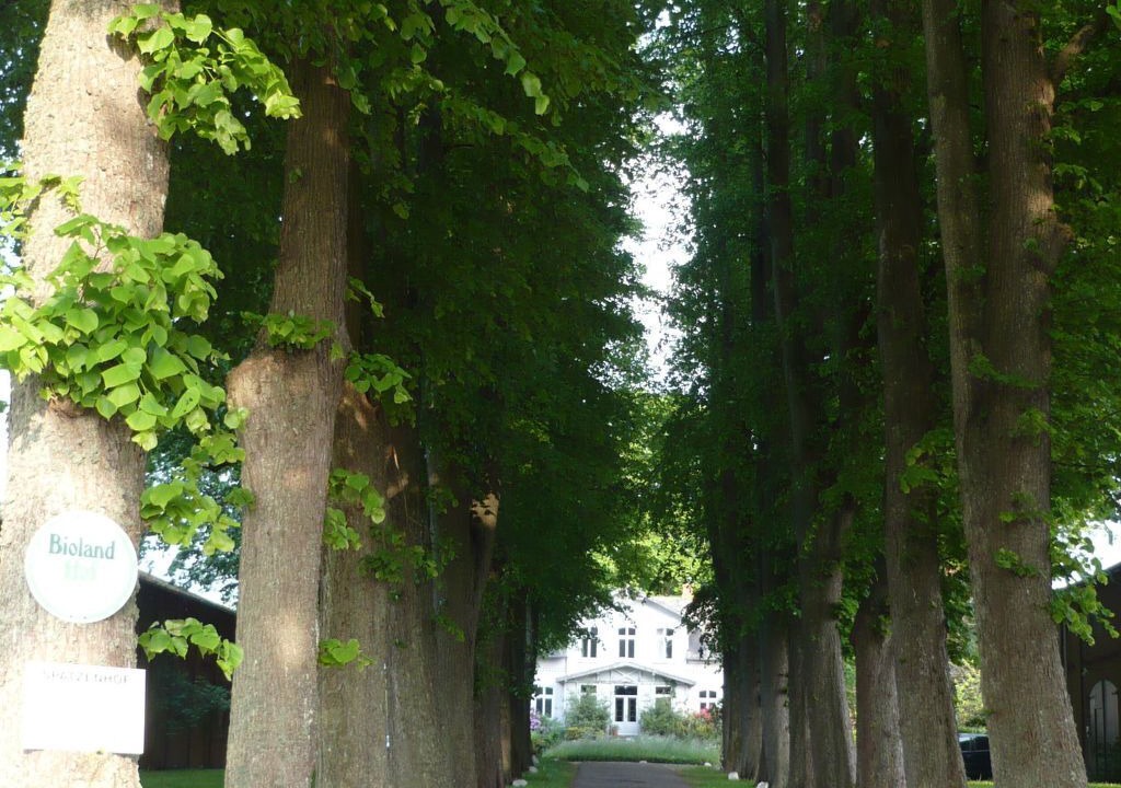 Photo of Others in Curau