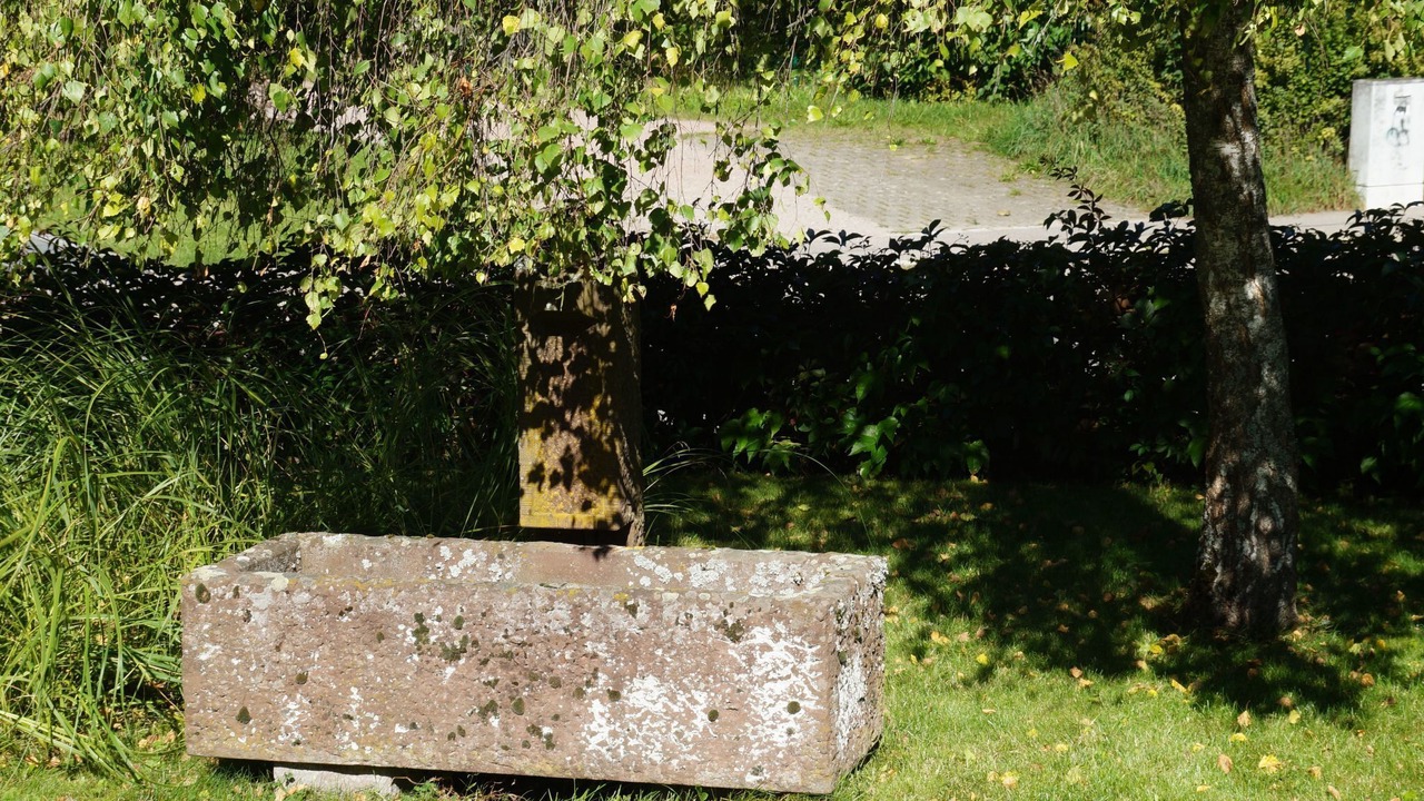 Photo of Others in Villingen-Schwenningen