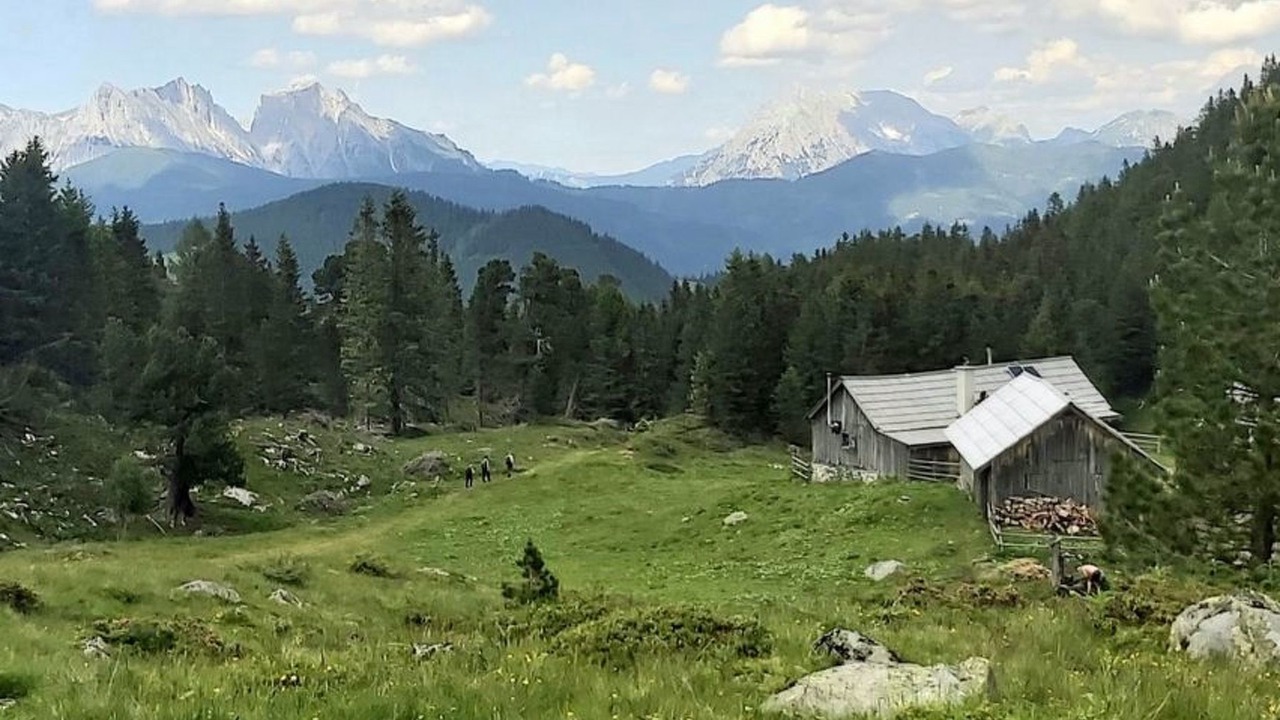 Photo of Others in Thaling