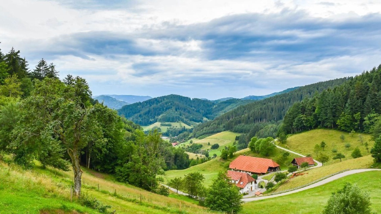 Photo of Others in Hausach