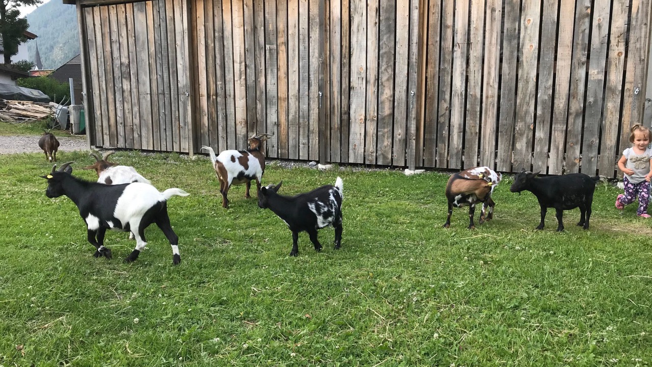 Photo of Others in Bichlbach