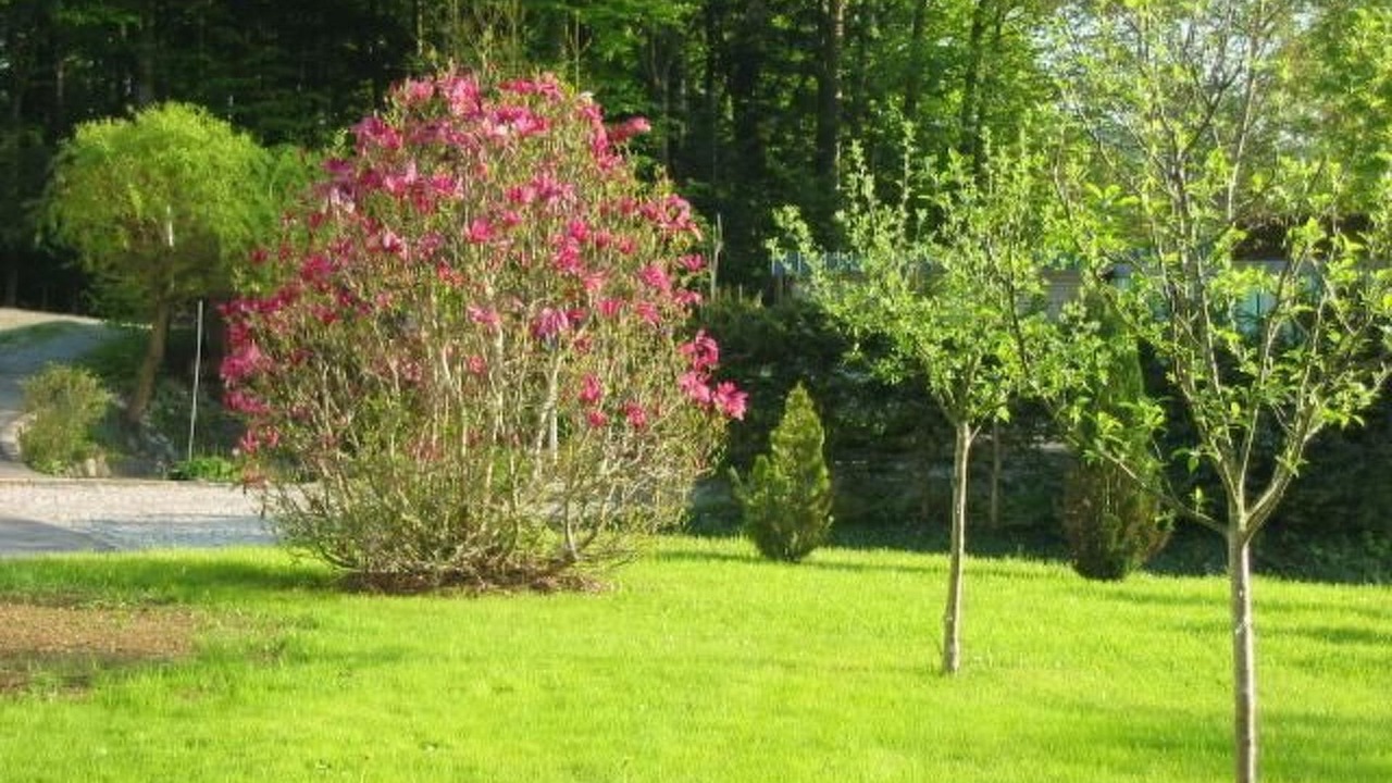 Photo of Others in Neuschoenau