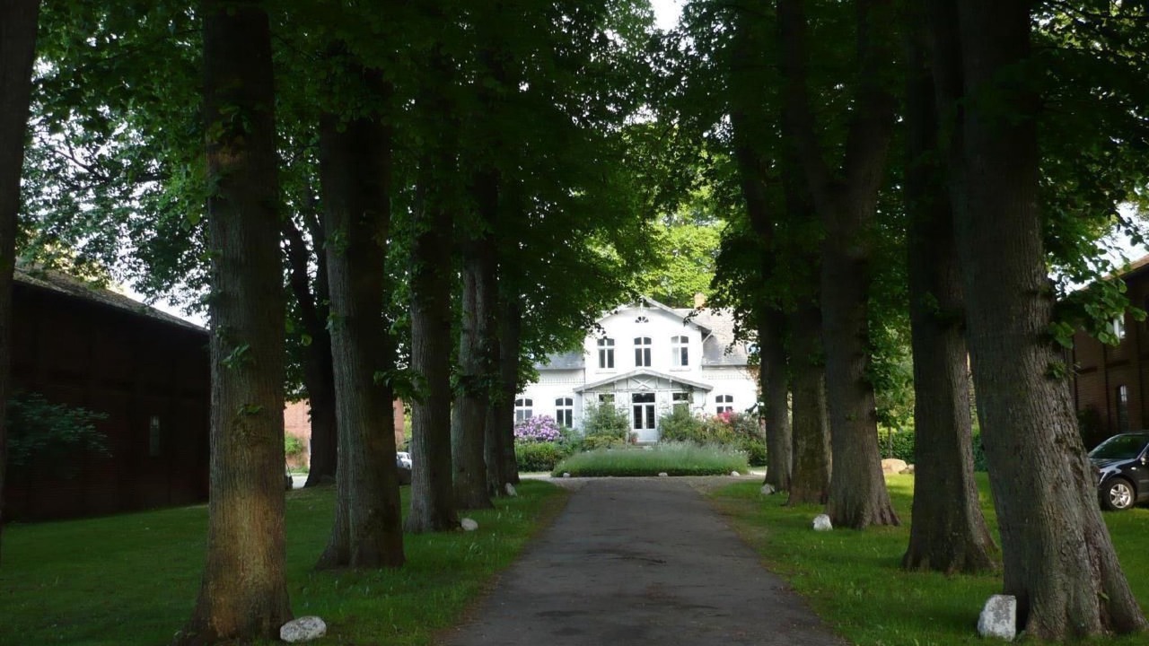Photo of Outdoor in Curau
