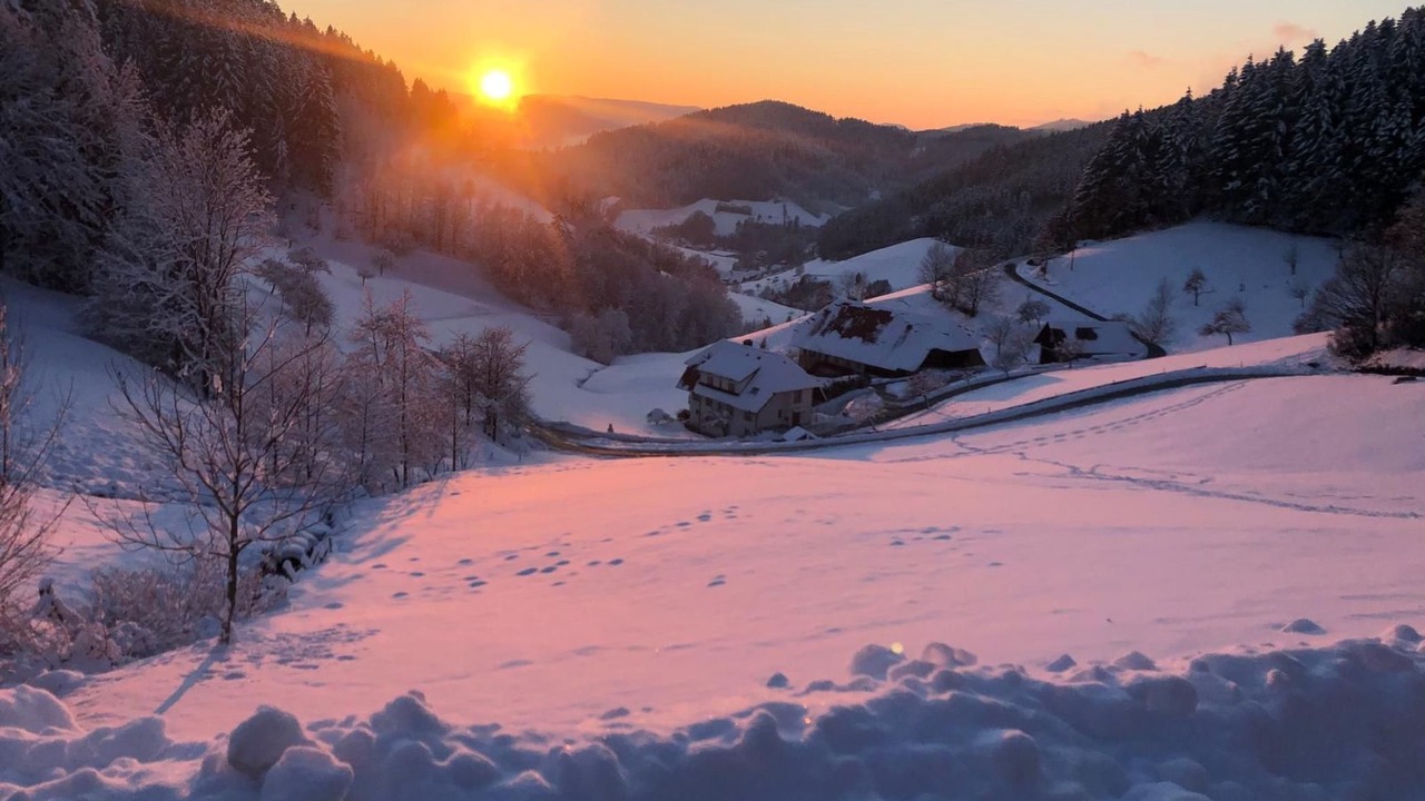 Photo of Others in Hausach
