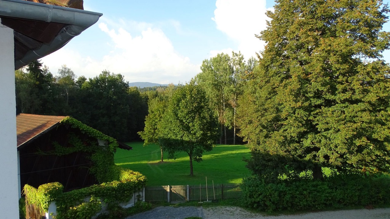 Photo of Others in Schoellnach