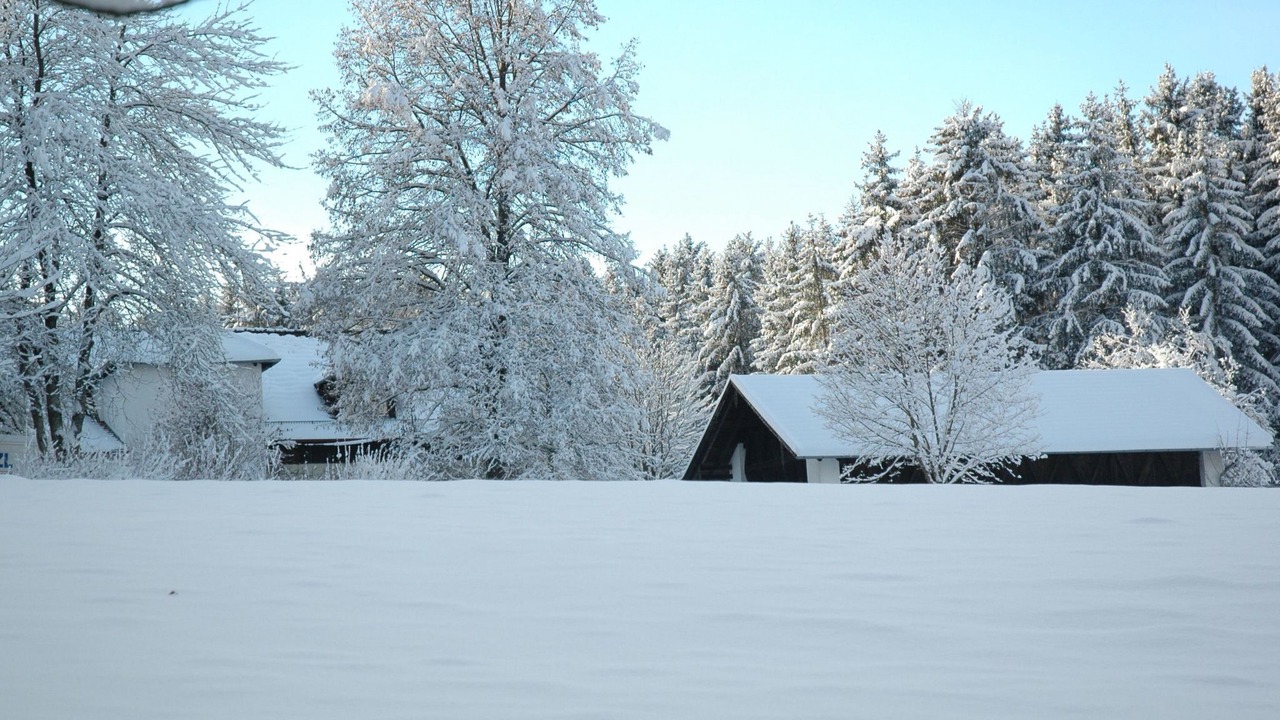 Photo of Outdoor in Schoellnach
