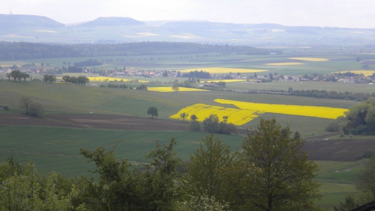 Photo of Others in Ofingen