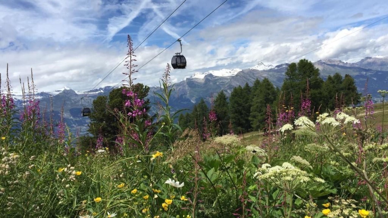Photo of Others in Veysonnaz