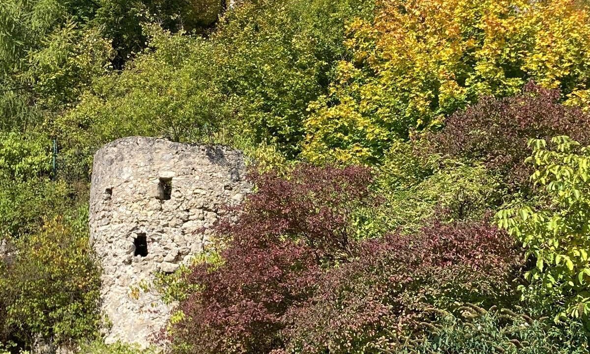 Photo of Others in Betzenstein