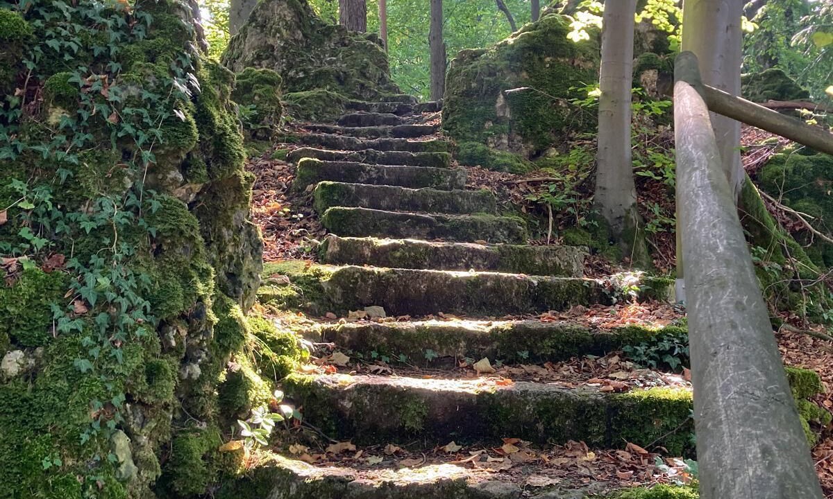 Photo of Outdoor in Betzenstein
